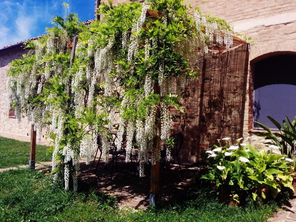 Villa La Fornace Di San Galgano à Frosini Extérieur photo