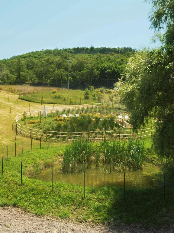 Villa La Fornace Di San Galgano à Frosini Extérieur photo